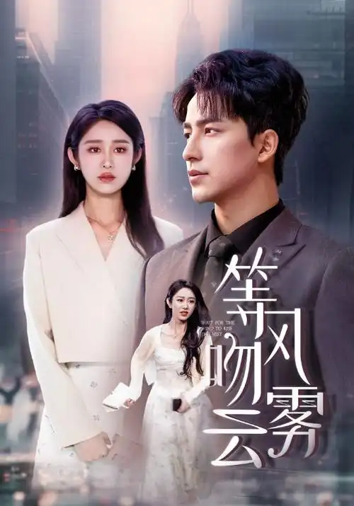 高清影院雾港迷踪第二季剧集海报